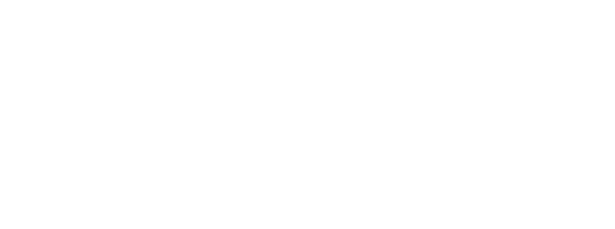 MDNS Digital